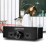 LINEPAUDIO A967 Vollausgeglichener passiver Vorverstärker für aktive Lautsprecher mit Zweikanal-Lautstärkeregler, A967