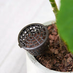 10PCS Bonsai Werkzeuge Gartenprodukte Gartenwerkzeuge Bonsai-Düngerkästen mit Abdeckung, kleine Größe: 4 x 3cm, kleine Größe: 4 x 3cm