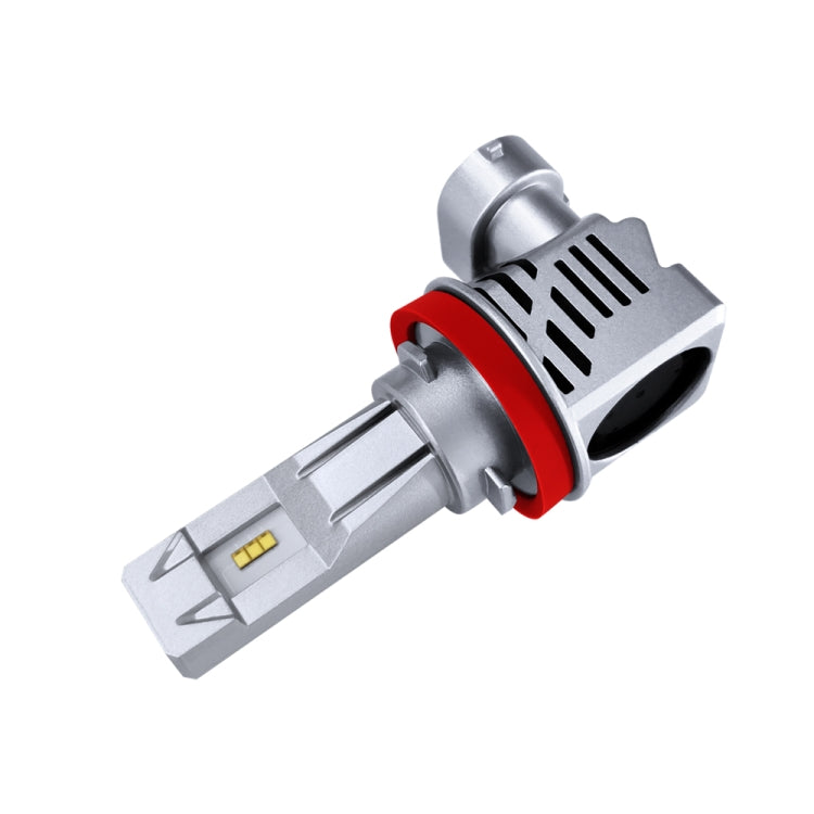 Bild-Alt-Text