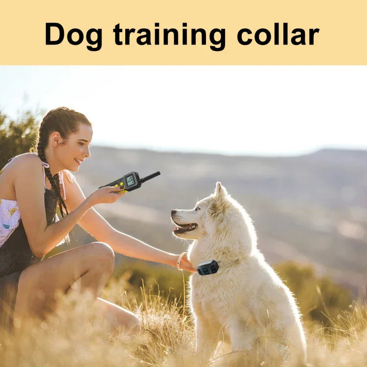 Tsattine T10 IP68 Wasserdichtes Hundetrainingsgerät (bis 2000 Fuß) mit LCD-Licht, T10