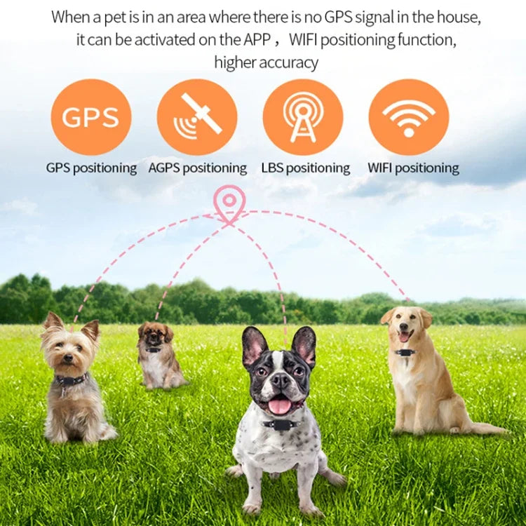 P03 2G Wasserdichter Haustier-GPS-Tracker GPS+AGPS+WiFi+LBS-Locator, P03
