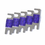 5 Stück AFS Mini ANL 100-Ampere-Sicherungen für Auto-Audio, vernickelt, 100 Ampere