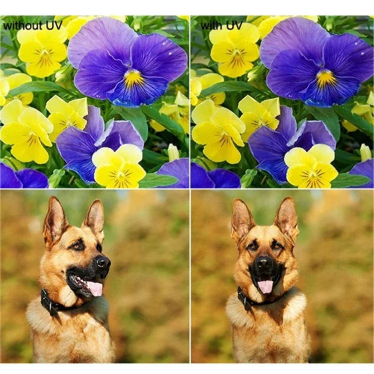 JUNESTAR für Xiaomi Xiaoyi Yi II 4K Sport-Action-Kamera: Professioneller 37-mm-UV-Filter + Objektivschutzkappe, UV-Filter + Objektivdeckel