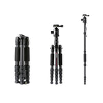 TRIOPO T259G+Q2 Verstellbares, tragbares Stativ aus Kohlefaser mit Q-2 Kugelkopf für Spiegelreflexkameras, T259G+Q2