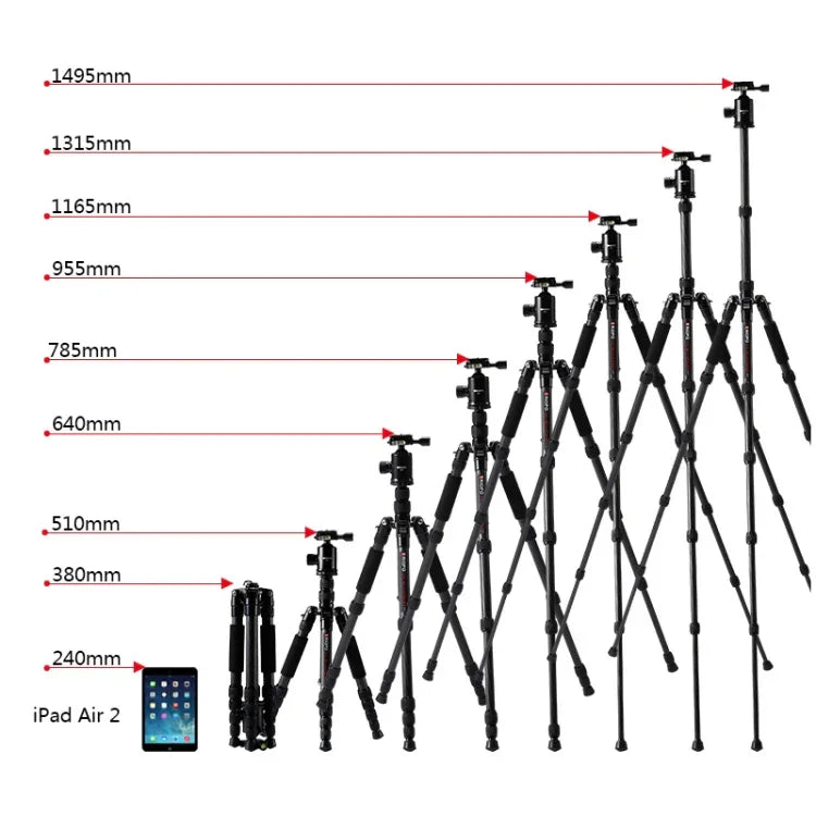 TRIOPO T259G+Q2 Verstellbares, tragbares Stativ aus Kohlefaser mit Q-2 Kugelkopf für Spiegelreflexkameras, T259G+Q2