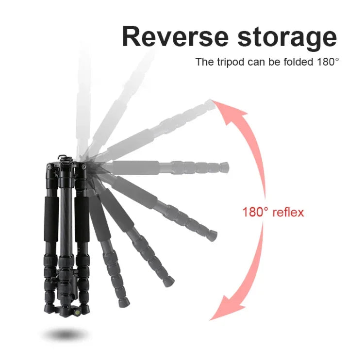 TRIOPO T259G+Q2 Verstellbares, tragbares Stativ aus Kohlefaser mit Q-2 Kugelkopf für Spiegelreflexkameras, T259G+Q2