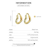 S925 Sterling Silber Herzförmige Hohl-Ohrstecker für Damen, Herzförmig Hohl (Silber), Herzförmig Hohl (Gold)