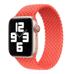 Metallkopf geflochtenes Nylon einfarbig Ersatzarmband Uhrenarmband für Apple Watch Series 6 & SE & 5 & 4 40mm / 3 & 2 & 1 38mm, XS 128mm, S 135mm, M 145mm