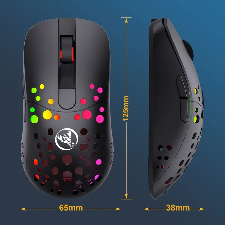 HXSJ T100 10000 DPI RGB Makro-Definition Kabelgebundene kabellose Dual-Modus-Maus