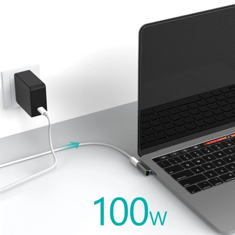100W USB-C / Type-C Buchse zu 20-Pin magnetischem USB-C / Type-C Stecker Winkeladapter