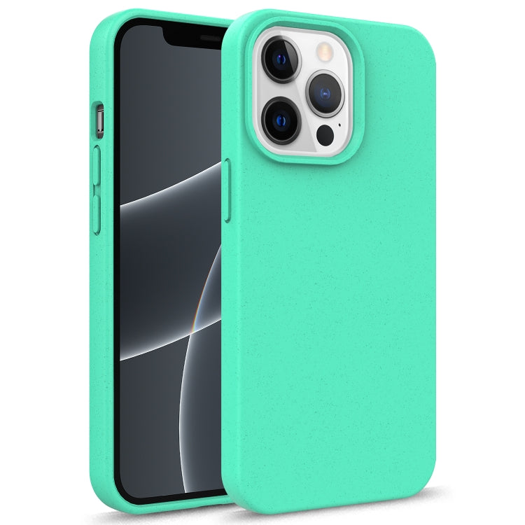 Starry Series Shockproof Straw Material + TPU Protective Case, For iPhone 13 mini, For iPhone 13 Pro Max, For iPhone 13 Pro, For iPhone 13
