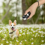 RC-534 Tragbarer Ultraschall-Hundeabwehrer mit LED-Leuchten, RC-534