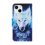 Coloured Drawing Pattern Leather Phone Case, For iPhone 13 mini, For iPhone 13, For iPhone 13 Pro