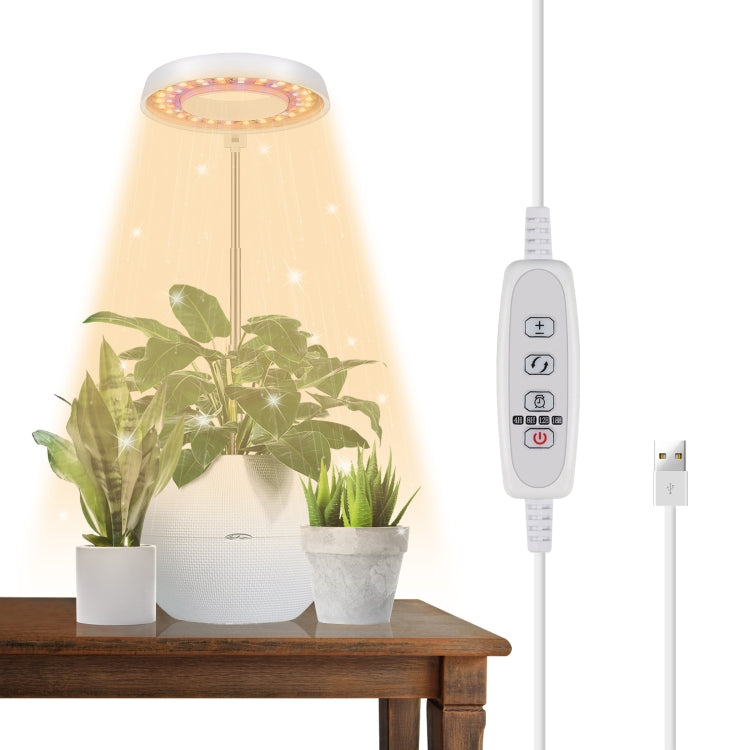10W 48 LEDs Sukkulenten-Wachstumslicht, Engelsring, Biene, Rundrohr