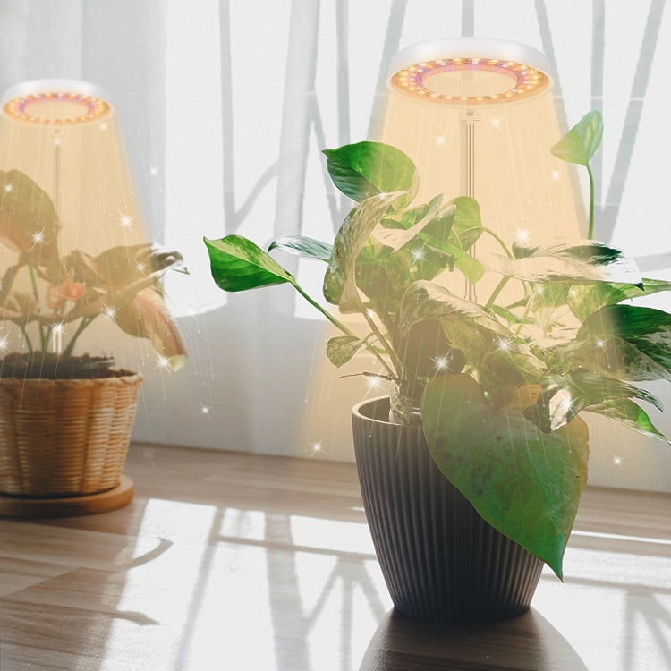 10W 48 LEDs Sukkulenten-Wachstumslicht, Engelsring, Biene, Rundrohr