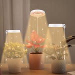 10W 48 LEDs Sukkulenten-Wachstumslicht, Engelsring, Biene, Rundrohr