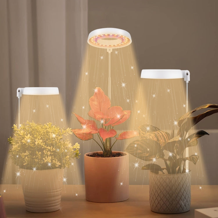 10W 48 LEDs Sukkulenten-Wachstumslicht, Engelsring, Biene, Rundrohr