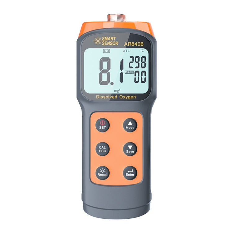 SmartSensor AR8406 Tragbarer gelöster Sauerstoffanalysator