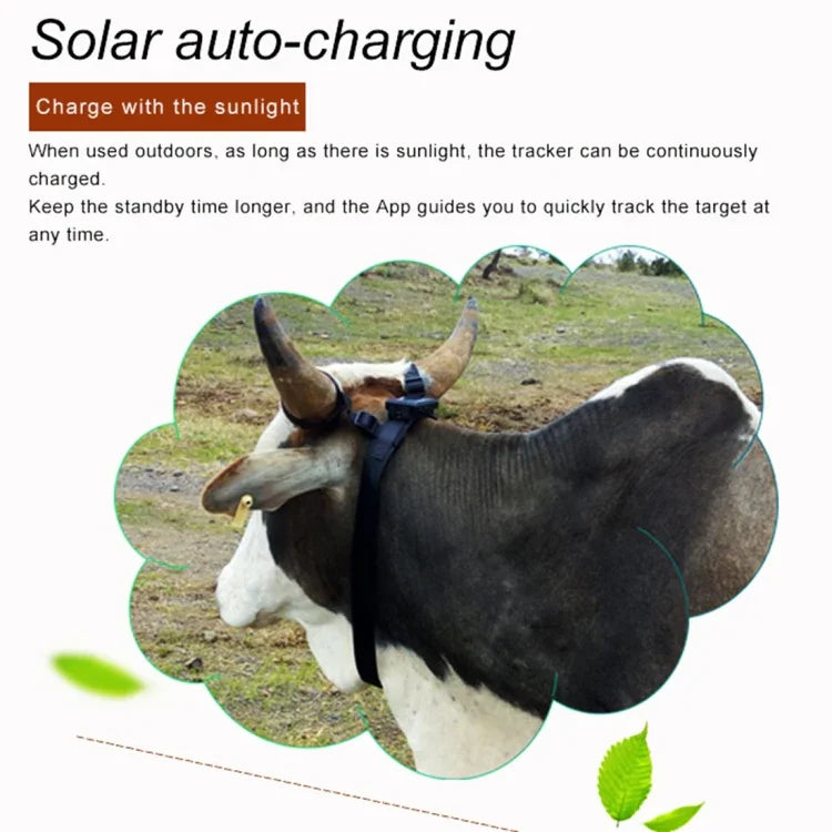 RF-V24 4G Solar-GPS-Tracker für Vieh, mit 2 GB Speicher, mit 4 GB Speicher