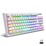 HXSJ L100 87 Tasten RGB Hintergrundbeleuchtete Folien-2.4G-Funk-Tastatur