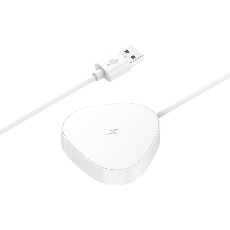 USB-Audio-Ladestation, kabelloses magnetisches Ladegerät, für Sonos Roam / Roam SL