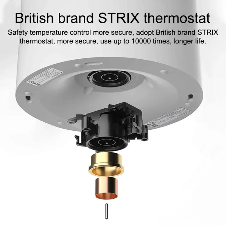 نص بديل للصورة