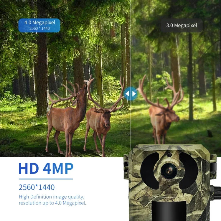 ESCAM QF380 4MP Netzwerk-Solar-PIR-Alarm-Smart-Wildtierkamera, EU-Version, AU-Version, US-Version