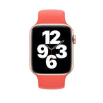 Für Apple Watch Series 5 &amp; 4 (40 mm) / 3 &amp; 2 &amp; 1 (38 mm): Elastisches Silikon-Ersatzarmband in Unifarben, Größen: S (130 mm), M (143 mm), L (156 mm)