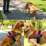 Hund Anti-Zug Oxford-Stoff K9 Brustgeschirr Zugseil-Gurt, M für 13-23kg, L für 23-30kg, XL für 28-40kg, XXL für 40-70kg, S für 6-14kg