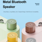 EWA A129 Mini Bluetooth 5.0 Bass-Radiator Metalllautsprecher