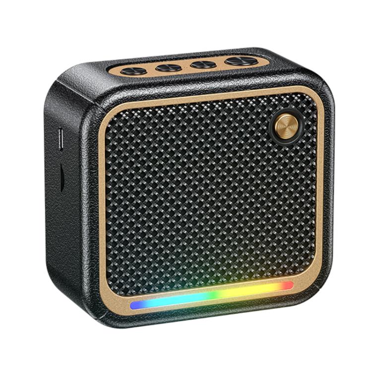 WK WD-06 Tragbarer Kabelloser Bluetooth Lautsprecher