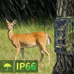 PR802G 4G EU Version 4K HD Nachtsicht-Infrarot-Bewegungserkennungs-Wildkamera, PR802G