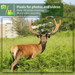 PR802G 4G EU Version 4K HD Nachtsicht-Infrarot-Bewegungserkennungs-Wildkamera, PR802G