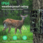 PR804G 4G EU Version 1080P HD Nachtsicht-Infrarot-Wildkamera, PR804G
