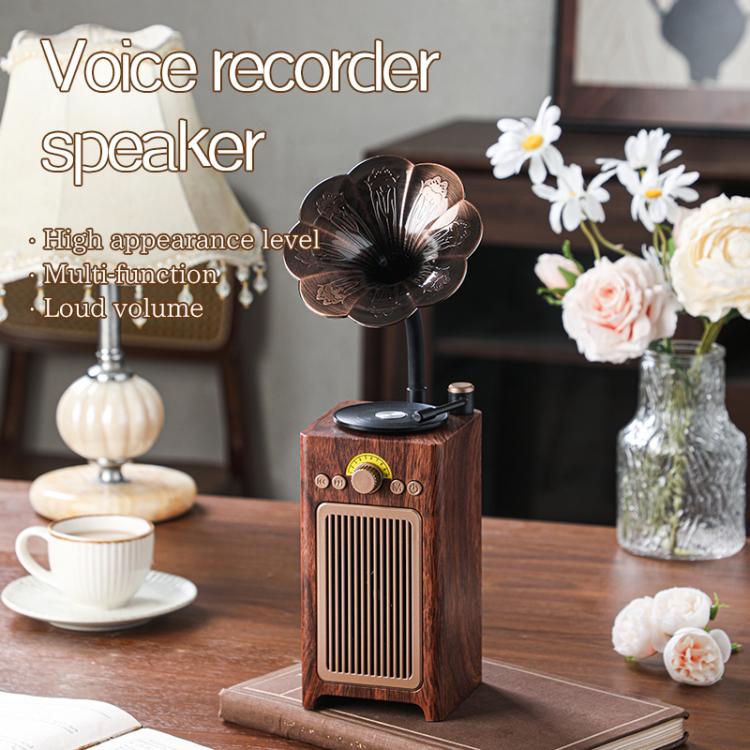 H3 Morning Glory Retro Kabelloser Bluetooth-Lautsprecher, H3