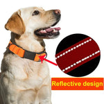 Reflektierendes Hundehalsband aus wasserdichtem Stoff mit schwarzer Schnalle und 1,8 m langer Leine, Größen: S, M und L