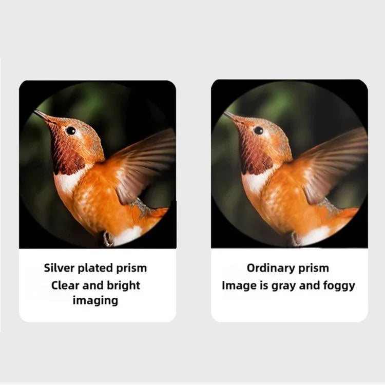 SKY ROVER Wander-Fernglas, wasserdicht, Dachkantprisma, 8x42, 10x42