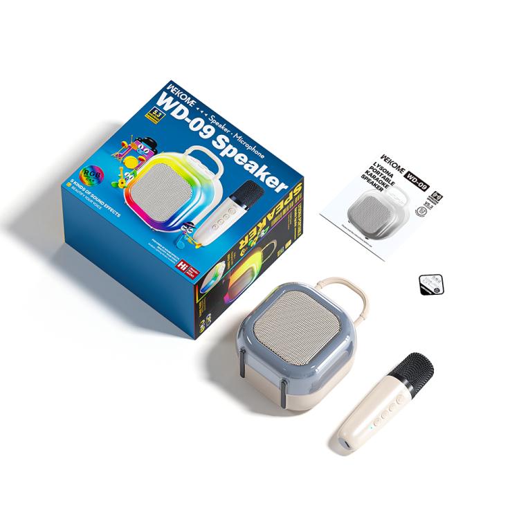 WEKOME WD-09 Lysona Tragbarer Karaoke-Lautsprecher