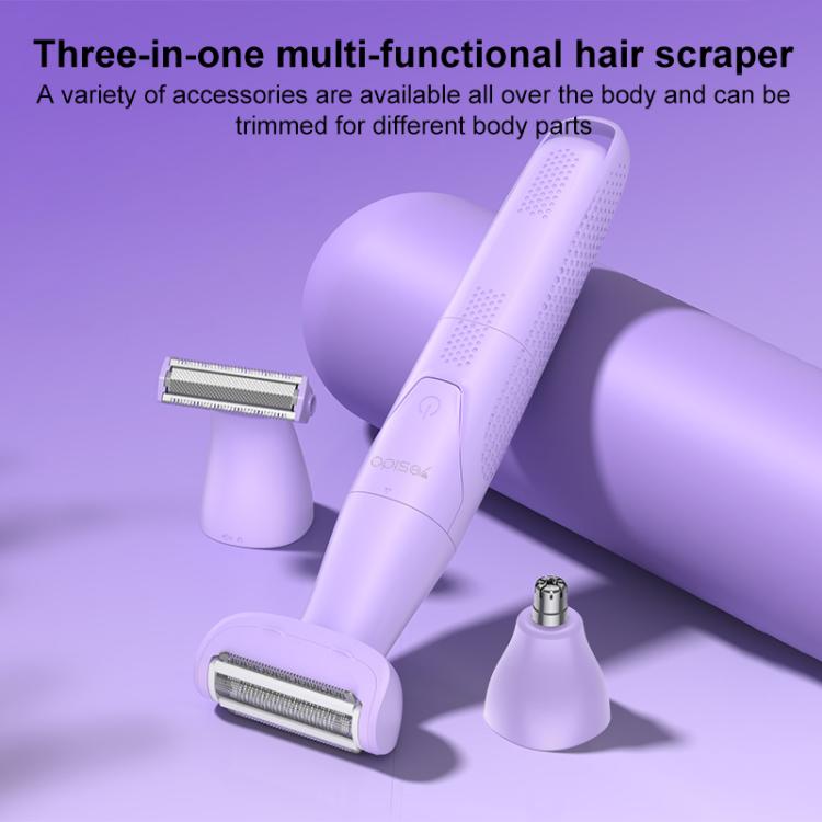 نص بديل للصورة