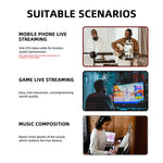 DEBRA GBA Live-Aufnahme Mini-Soundkarte