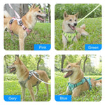 FunAdd Hundegeschirr mit Traktionsseil, reflektierendem, atmungsaktivem Nylon, Größe: M