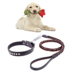 Teleskop-Hundehalsband aus Rindsleder, geeignet für mittelgroße und große Hunde, Größe M, Seillänge: 128 cm, Halsbandgröße: 32–44 cm