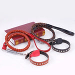 Teleskop-Hundehalsband aus Rindsleder, geeignet für mittelgroße und große Hunde, Größe M, Seillänge: 128 cm, Halsbandgröße: 32–44 cm