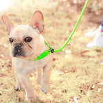 Hundetrainingsseil mit Reflektorlicht und robustem Griff