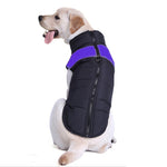 Skianzug aus Baumwolle für Hunde, Größe: 5XL, Brustumfang: 68 cm, Rückenlänge: 60 cm