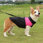 Skianzug aus Baumwolle für Hunde, Größe: M, Brustumfang: 42 cm, Rückenlänge: 31 cm, Größe: M