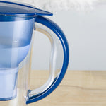1,3-Liter tragbare Kaltwasserflasche mit Aktivkohlefilter für zu Hause, 1,3 l (Blau)