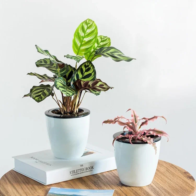 Faule Blumentöpfe, automatische wasserabsorbierende hydroponische Topfpflanzen, kreisförmige Blumentöpfe aus Harz und Kunststoff, zweischichtiges Design, selbstbewässernder Pflanztopf, Durchmesser: 11 cm, Höhe: 10,3 cm, Durchmesser: 11 cm, Höhe: 10,3 cm