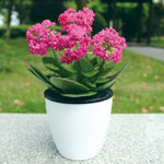 Faule Blumentöpfe, automatische wasserabsorbierende Hydrokultur-Topfpflanzen, runde Blumentöpfe aus Harz-Kunststoff, doppellagiges Design, selbstbewässernder Pflanztopf, Durchmesser: 15 cm, Höhe: 15,5 cm