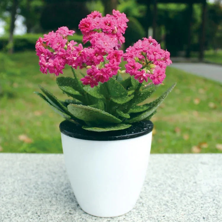Faule Blumentöpfe, automatische wasserabsorbierende Hydrokultur-Topfpflanzen, runde Blumentöpfe aus Harz-Kunststoff, doppellagiges Design, selbstbewässernder Pflanztopf, Durchmesser: 15 cm, Höhe: 15,5 cm